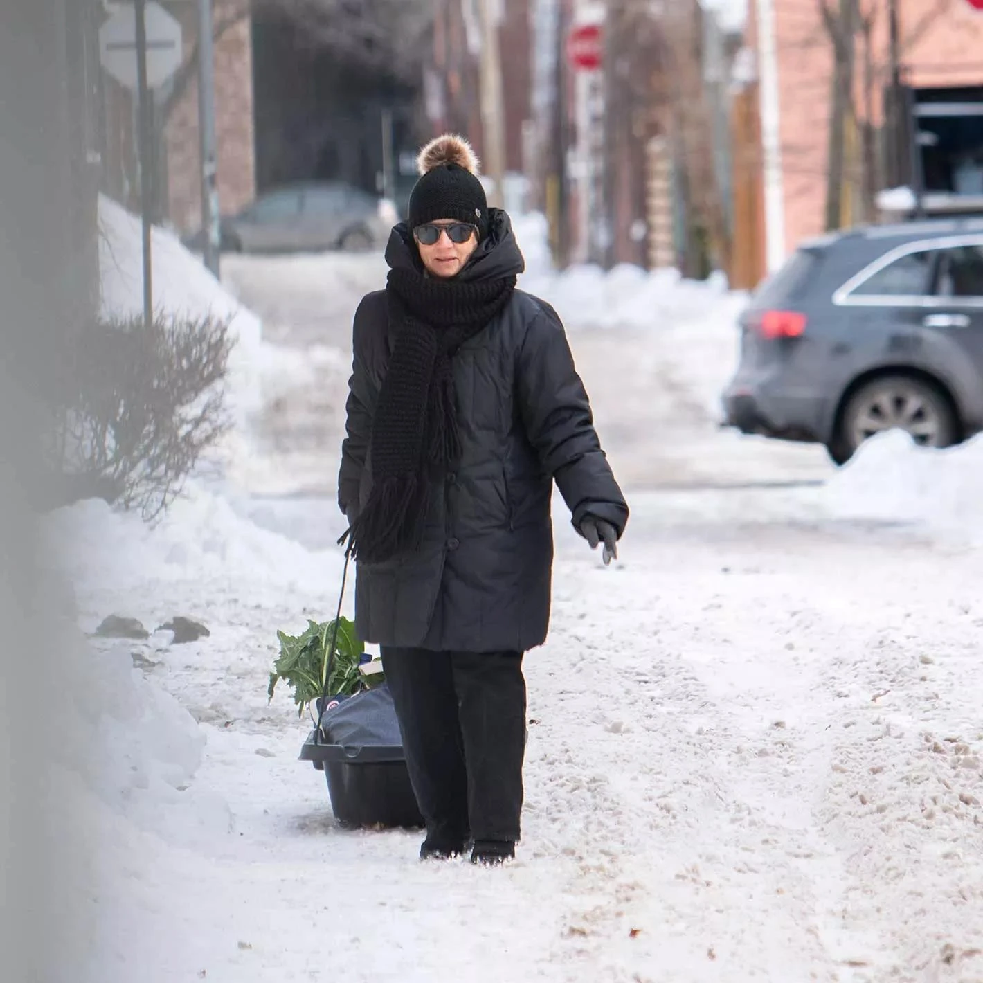 Pelican Trek 45 Utility Sled 2 Pelican Trek 45 Utility Sled - Image 2