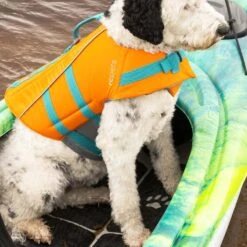 Standard Kayak Paddle - 220cm|-|Pagaie De Kayak Standard - 220cm 12 Standard Kayak Paddle - 220cm|-|Pagaie De Kayak Standard - 220cm -Boating equipment store PLS PS1965 7E 7ELifestyle1 20Black